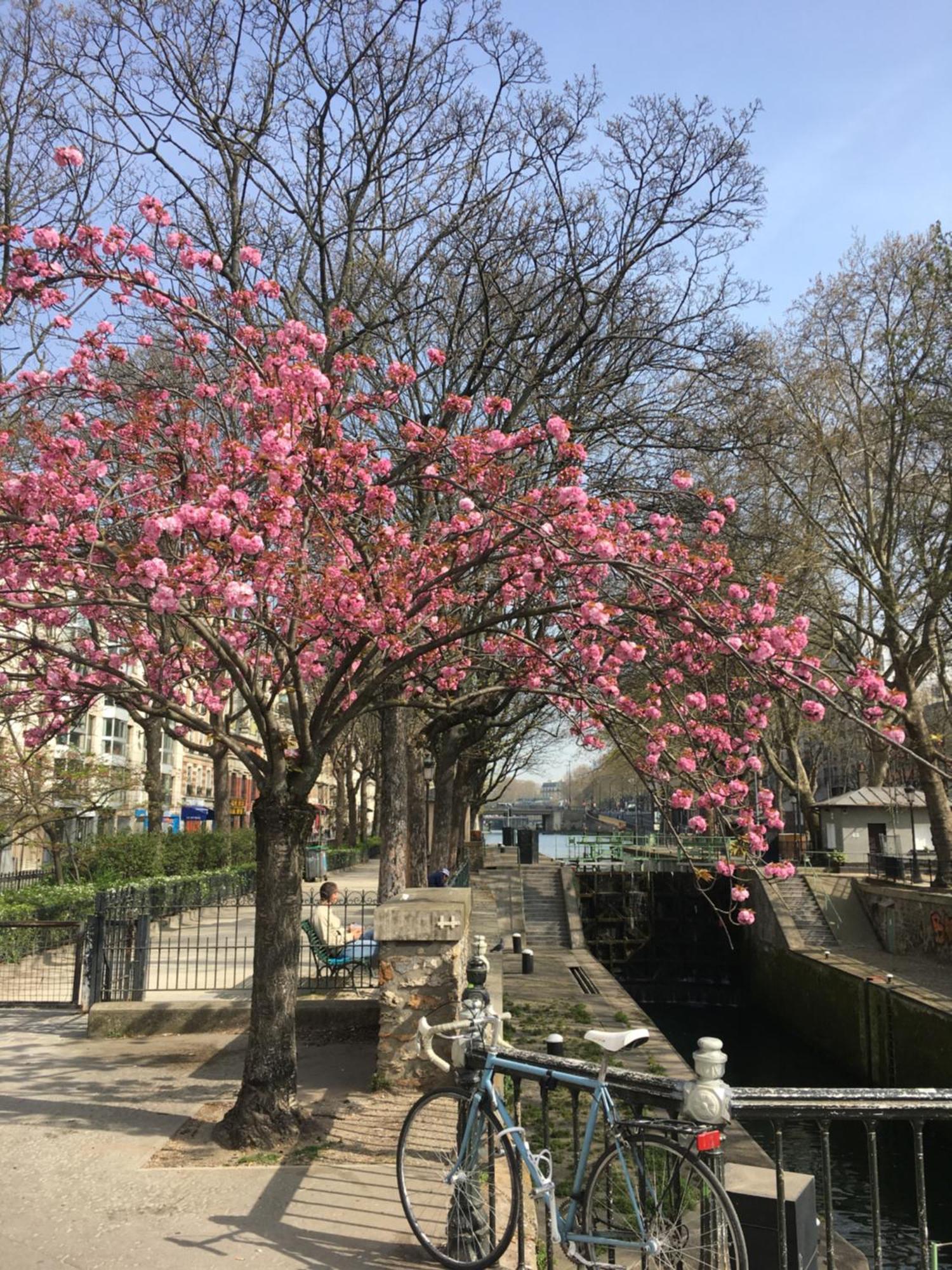 Apartament A Paris, Au Bord De L'Eau Zewnętrze zdjęcie
